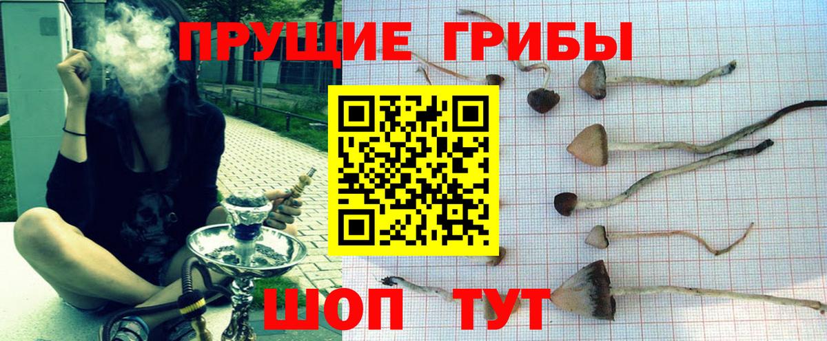 Галлюциногенные грибы GOLDEN TEACHER Тольятти