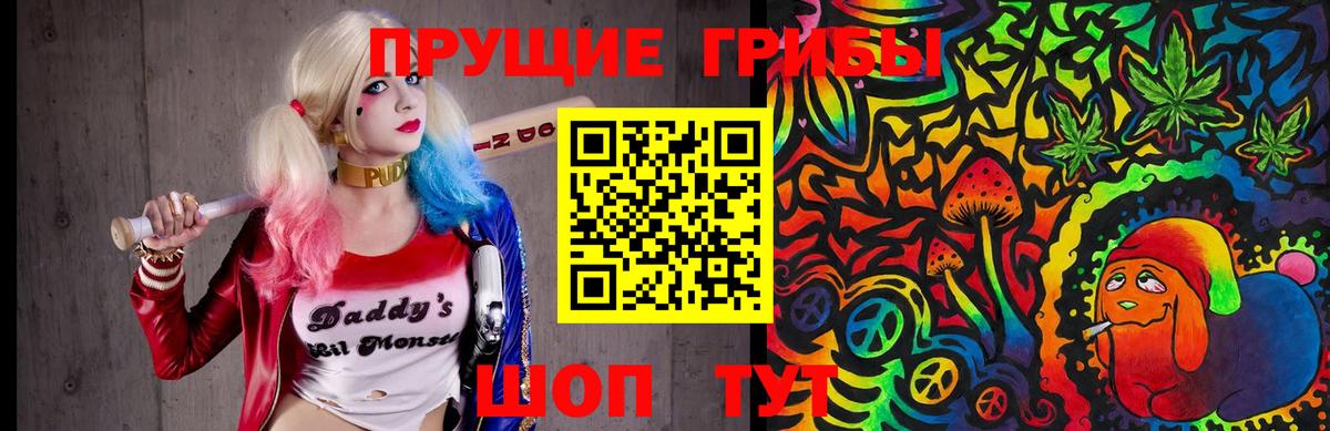 Тольятти  Псилоцибиновые грибы Psilocybine cubensis  Вход с VPN 